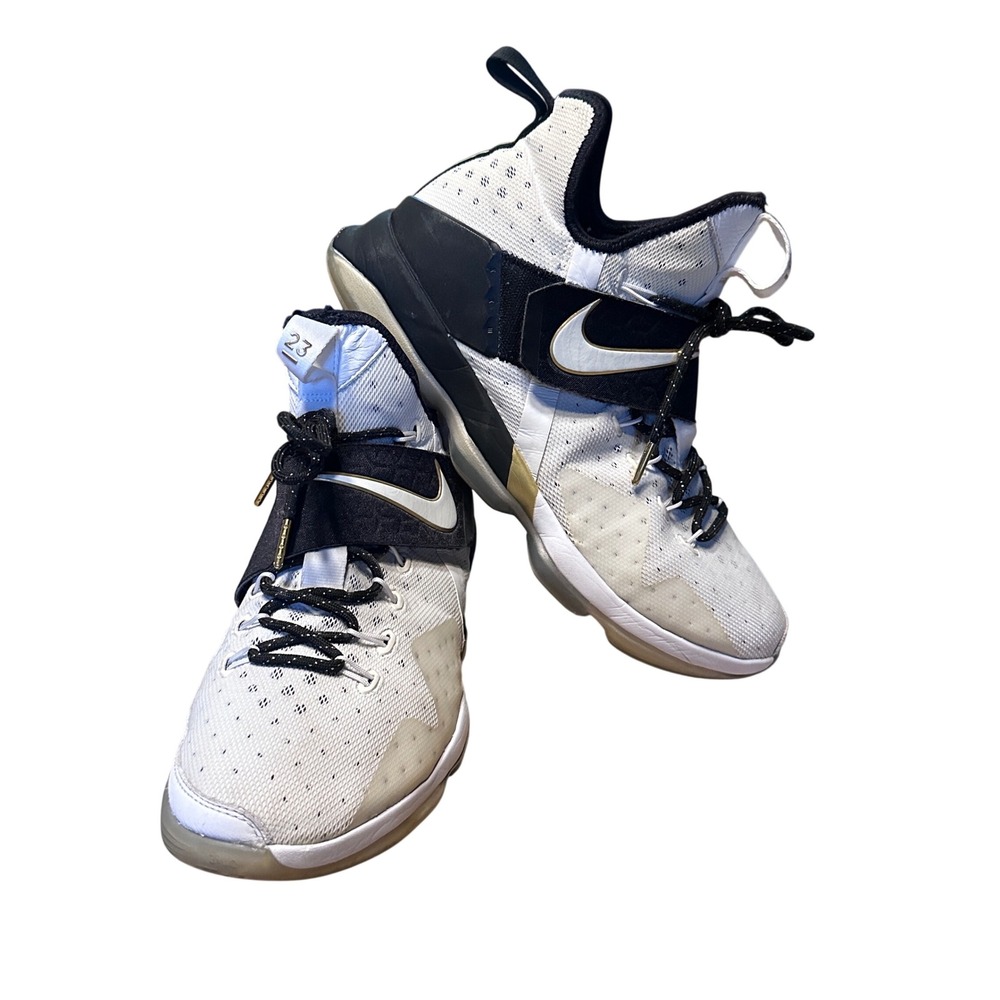 Nike LeBron 14 'BHM' Size 11